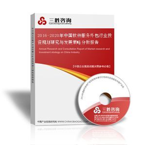 2016-2020年中國軟件服務(wù)外包行業(yè)投資規(guī)劃與發(fā)展策略分析