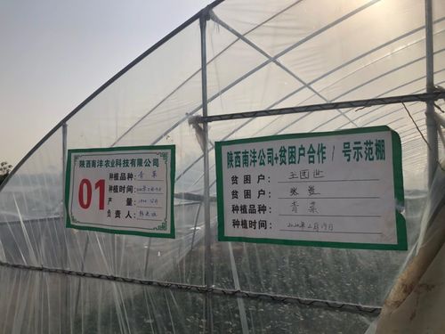 三方協同加碼，以技術轉讓與咨詢助推脫貧攻堅